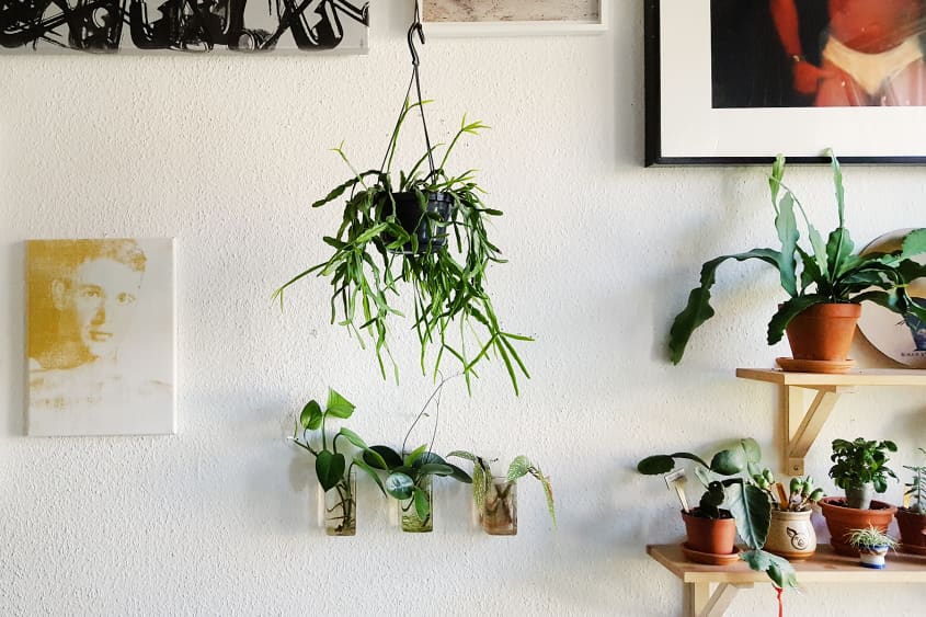 House Tour: A Bold Berlin Apartment | Apartment Therapy